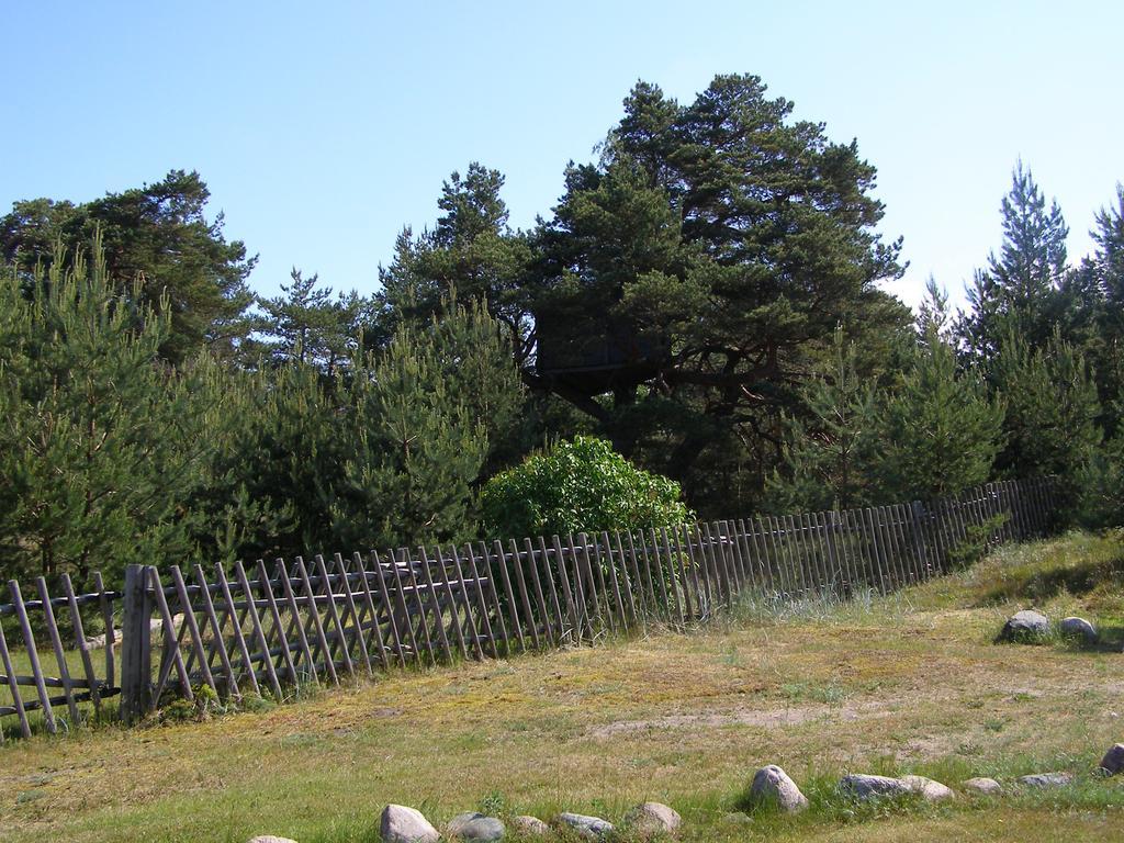 Treimani Rannamaja Villa Dış mekan fotoğraf